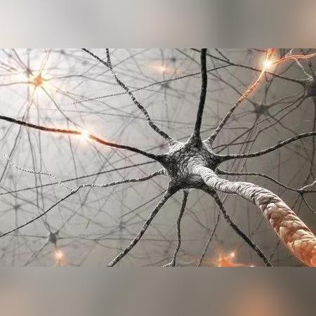 (微观世界:细胞的生存)探寻未知的微观世界：深入细胞世界书中的奥秘和魅力