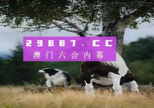 2024正版澳门跑狗图最新版今天|精确数据解释落实_试用集.9.147